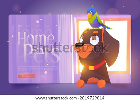 Home pets banner with cute dog and parrot