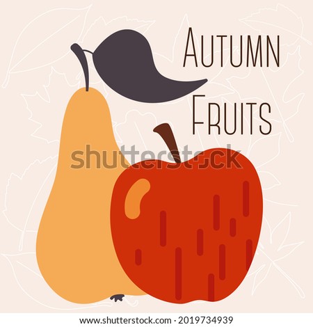 Autumn fruits pear and apple. Vector illustration set. EPS10