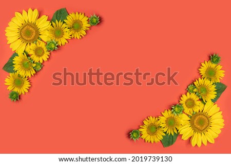 Beautiful summer flowers with copy space.  sunflowers frame around empty space for text