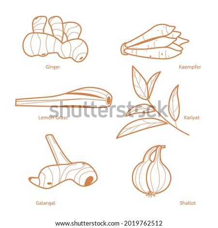 Vector thai aroma herb outline ingredient for health. Royalty-Free Stock Photo #2019762512