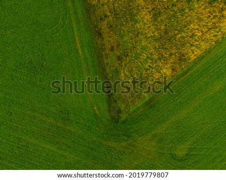Background of grass and pasture shot from above with a drone. Background with copy space.