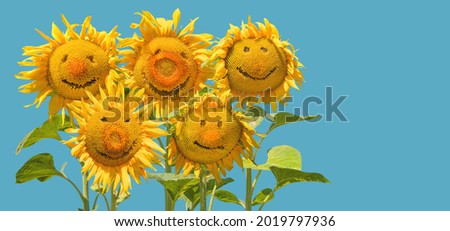 Five smiling sunflowers olympians are precisely positioned to fit into rings as funny concept for sporting events and games.