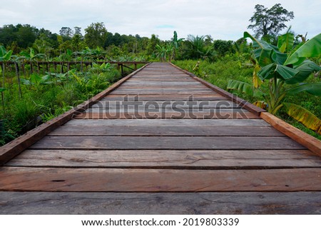 Landscape photo of a road made of iron wood planks in a mud area. This photo is suitable for illustration and information about transportation technology using wood                    