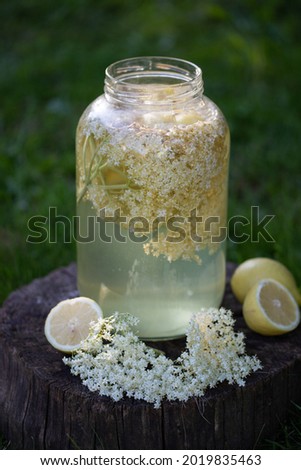 home made elderflower syrup with lemon in the glass