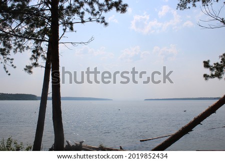 landscape on a sunny summer day nature in siberia