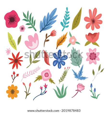 hand drawn spring botanical flower floral illustration premium vector