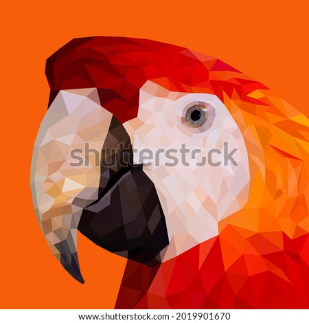 Parrot face geometry, low poly triangular and wire frame vector illustration EPS 10 isolated. Polygonal style trendy modern logo design. Suitable for printing on a t-shirt.