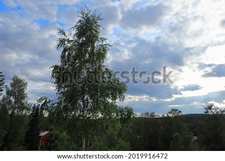 Nice evening photo. Dark clouds in the sky during the summer. Month of July. Green trees and bushes in front of the photo. Countryside. Värmland, Sweden, Europe.