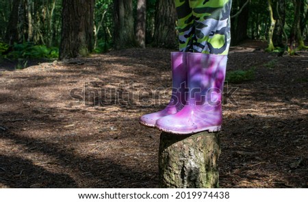 Childs pink wellingtons standing on a tree stump in a forest Royalty-Free Stock Photo #2019974438