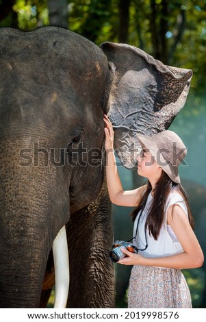 A young Asian tourist takes a picture with an elephant in the jungle of Surin, Thailand. 