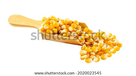 Organic yellow corn seed or maize grains in wooden spoon. yellow corn seed grains isolated on white background. Royalty-Free Stock Photo #2020023545