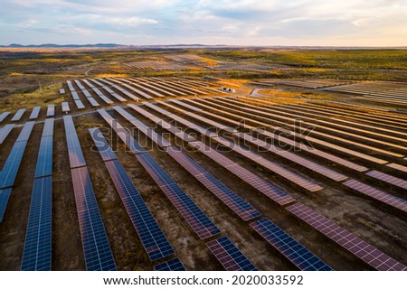 Massive solar power plant at sunset. Hundreds of moving solar panels ready to provide clean energy. Talasol. Drone aerial picture. Blue, purple and yellow tones.
