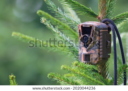 Camouflage wildlife camera trap on the tree