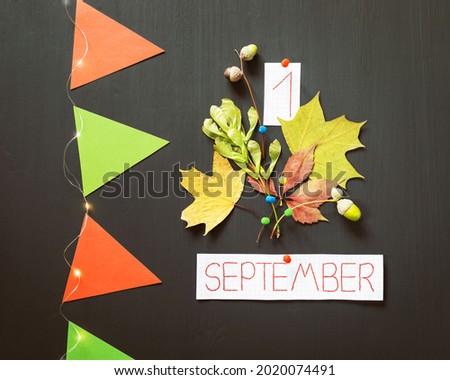 Holiday, school composition with autumn bouquet, inspiration first september, paper flags and a light garland on a black chalkboard. September 1 is the day of knowledge. Back to school concept Royalty-Free Stock Photo #2020074491