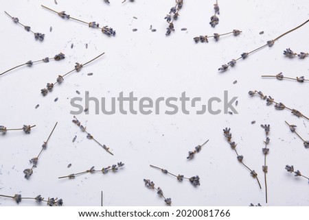 Sprigs of dried lavender on a white background