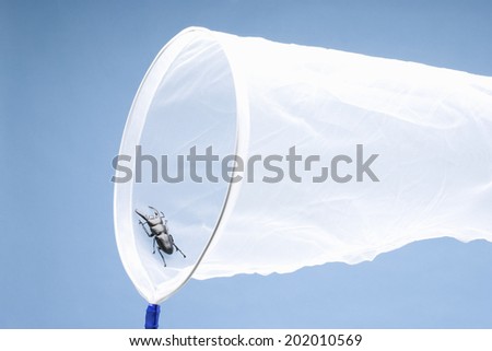 An Image of Insect Catching Net