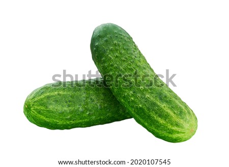 Two organic cucumbers isolated on white background.