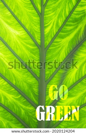 Go Green. Concept of recycling, reduction and reuse. Back of a large green leaf with the superimposed word GO GREEN. Vertical image.