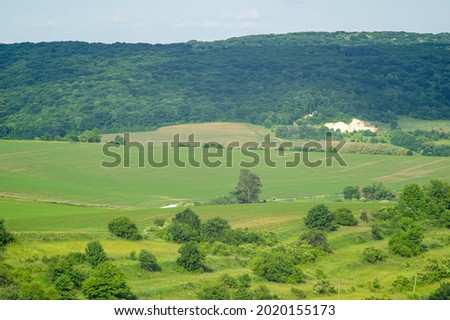 Beautiful summer landscape, green field on a sunny day in Ukraine