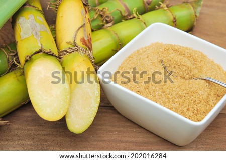 Close up Sugar and sugarcane