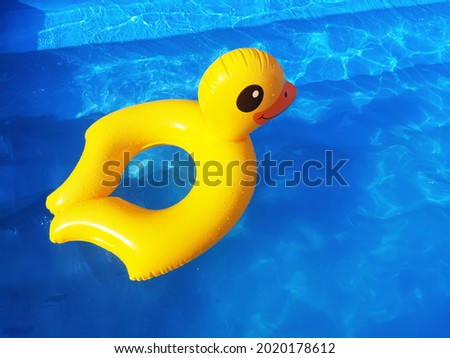 rubber inflatable duck floats in the swimming pool.
