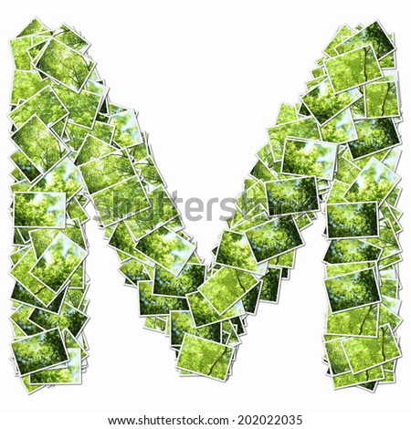 Alphabetic Capital Letters In The Photos Of Fresh Green