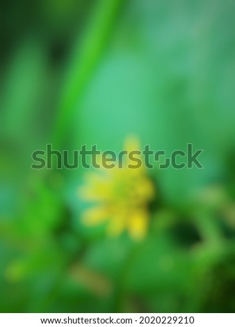 Looks blurry against a yellow flower background