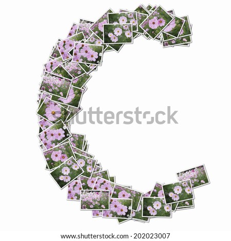 Alphabetic Lower-Case Letters In The Photos Of Flowers