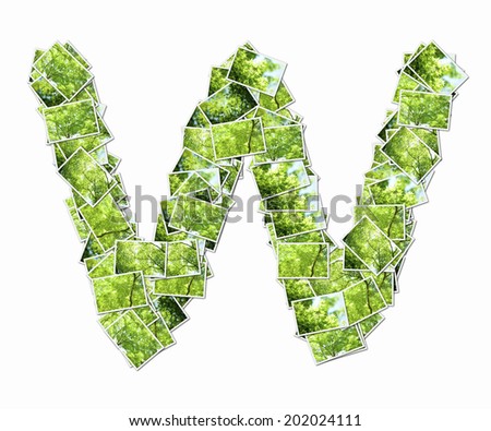 Alphabetic Lower-Casae Letters In The Photos Of Fresh Green