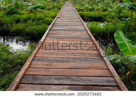 Environmentally friendly road technology made of iron wood planks in the tropics. This photo is suitable for campaigns on climate change, forest protection, impact of technology etc. Royalty-Free Stock Photo #2020273682