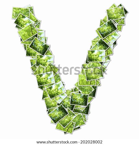 Alphabetic Lower-Casae Letters In The Photos Of Fresh Green