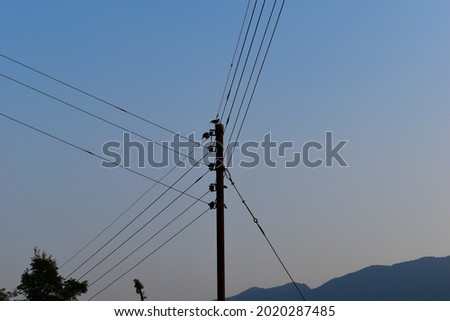 Electricity pole picture with cables from three sides at evening time.