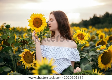 Cute attractive young girl walk through yellow bouquet blooming sunflower field outdoors sunset warm nature background. Woman stopped while travel on weekend copyspace. Summer holiday relax
