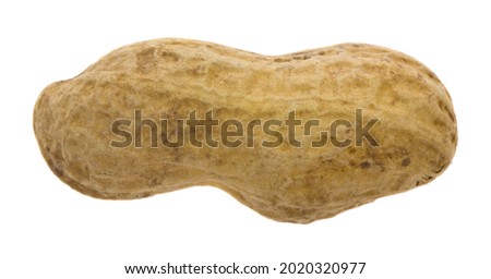 Peanuts isolated on white background. Detail for design. Design elements. Macro. Background for business cards, postcards and posters. 