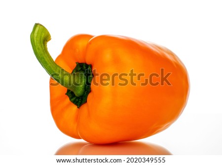 One organic bell pepper, close-up, isolated on white.