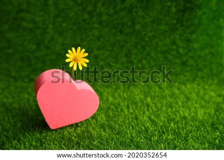 Heart-shaped sponge on green artificial grass and yellow daisies on natural daylight background. Selective Focus