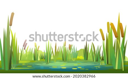 Swamp landscape with reed and cattail. Isolated element. Horizontally composition. Overgrown pond shore. Illustration vector Royalty-Free Stock Photo #2020382966