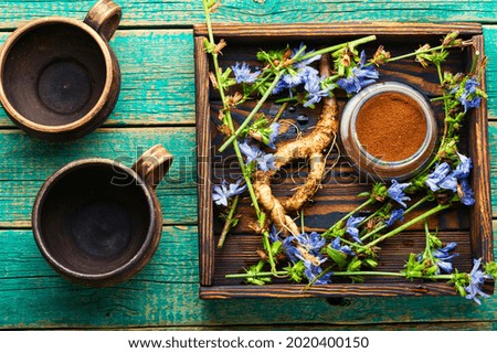 Chicory root and chicory flowers on rustic wooden background,alternative medicine.Cichorium intybus.Chicory drink Royalty-Free Stock Photo #2020400150