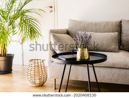 Minimalist modern home living room black accent piece table with gold color vase and book black metal table on natural oak hardwood floor. Royalty-Free Stock Photo #2020408130