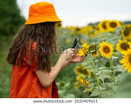 Sunflower field. Teenage girl holding a magnifying glass and looking at a sunflower for learning, flower education concept. Yellow sunflowers, summer background.