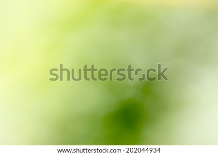 The sparkling blur abstract green background