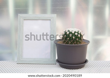 echinofossulo cactus pot and green picture frame  	
