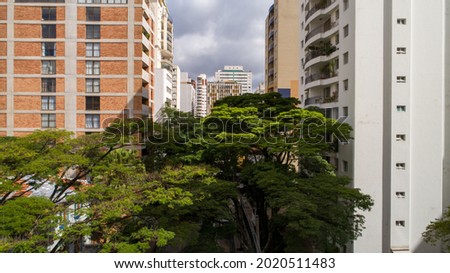 tree-lined street in the Itaim Bibi region in São Paulo, SP.
