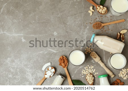 Concept of vegan milk on gray textured background, top view