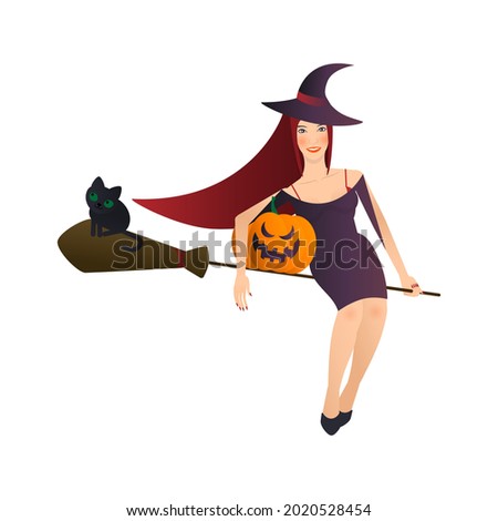 Halloween clip art isolated on white background. Witch on broomstick and pumpkin.