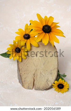  yellow daisies, background for text