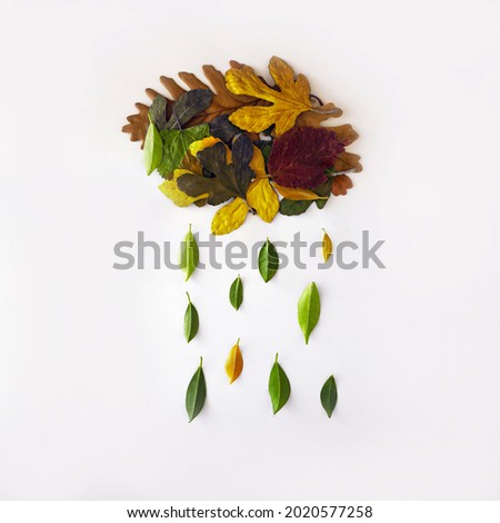 Autumn leaves in the shape of clouds with rain. Flat bed. The concept of time. On a white background.