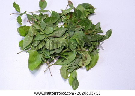 Fresh henna green leaf ( Lawsonia inermis ) isolated on white background