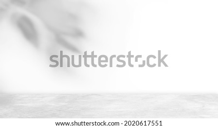 Backdrop background, Empty cement wall room interior with shadow leaves and floor well editing montage display products and text present on free space 