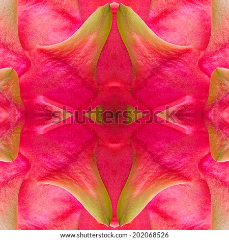 Seamless pattern made from colorful dragon fruit. background texture 